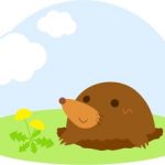 もぐらたたきアプリ