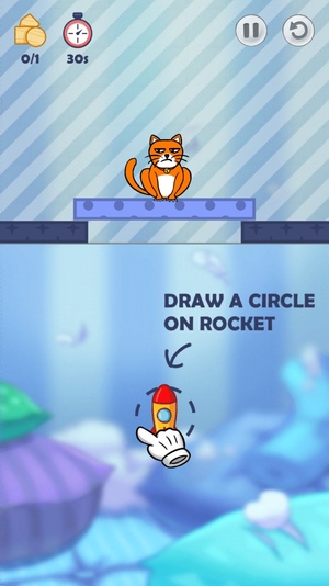 Hello Cats!6