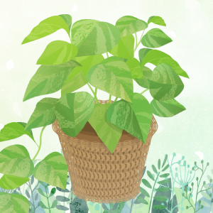 植物ゲームアプリ