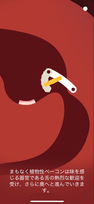 『Bacon in Zane』の操作方法