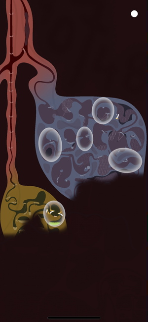 『Bacon in Zane』のチェックポイント