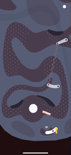 『Bacon in Zane』の仲間